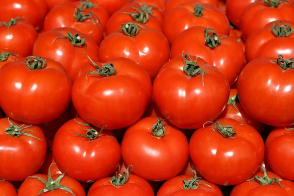 stock image Organic tomatoes