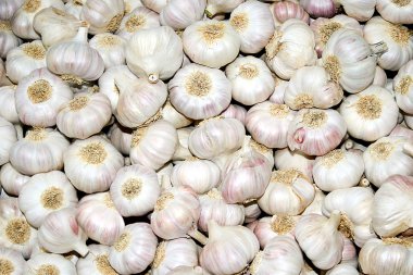 Whole garlic