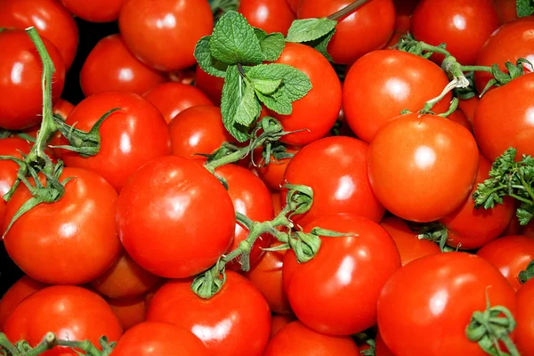 Baby tomat — Stockfoto
