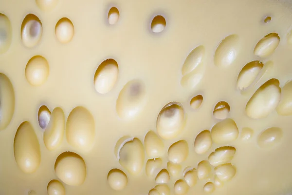 Cheese wholes — Stock Photo, Image