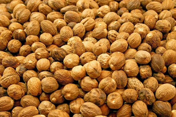 Whole nutmegs — Stock Photo, Image