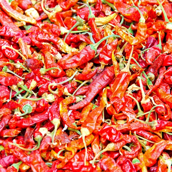 Chilly peppers — Stock Photo, Image