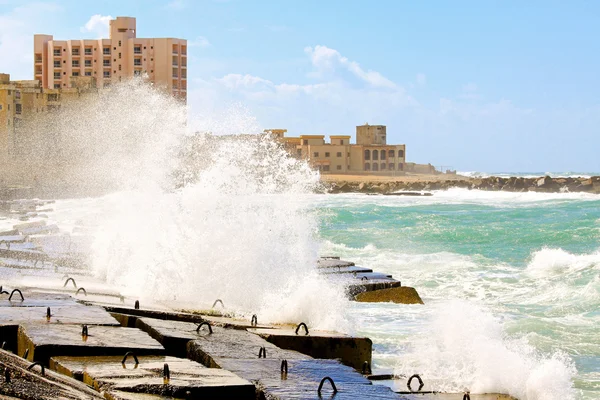 Wybrzeży Aleksandrii — Zdjęcie stockowe