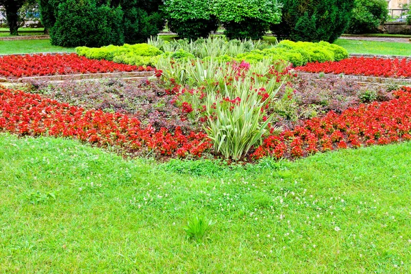 stock image Flower garden