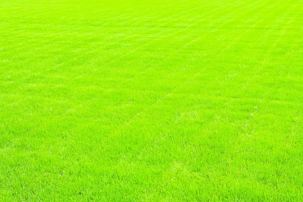 stock image Grass mosaic