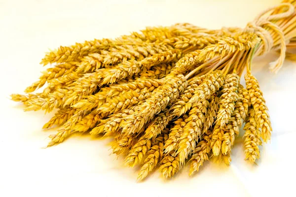 小麦捆 — 图库照片