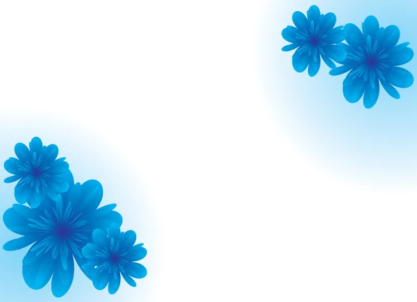青い花のフレーム — ストック写真