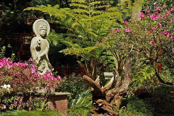 stock image Oriental garden in Madeira island