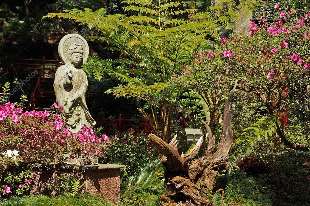 Oriental Garden In Madeira Island Stock, Oriental Garden Plants