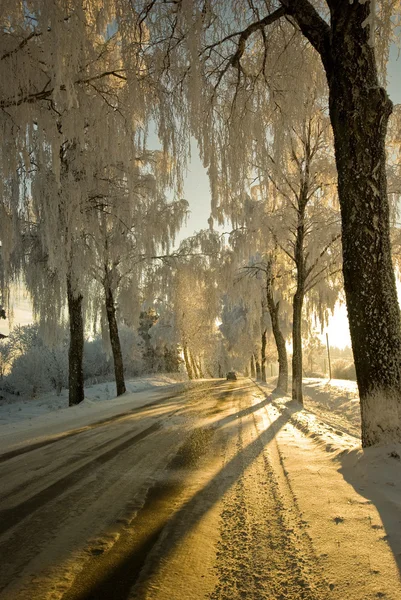 在冬天的乡村道路 — 图库照片