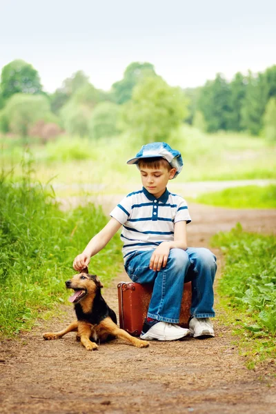 소년과 개 — 스톡 사진