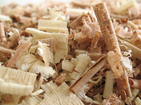 Wood Shavings 3