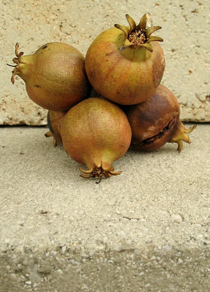 Pomegranate Grunge — Stock Photo, Image