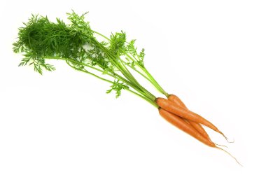 Carrot clipart