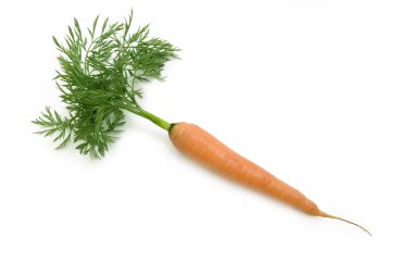 Carrot clipart