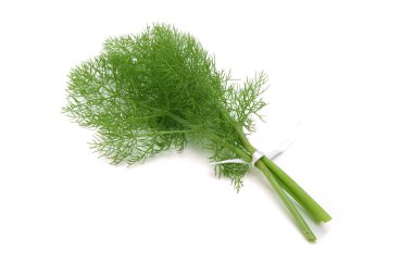 GREEN DILL clipart