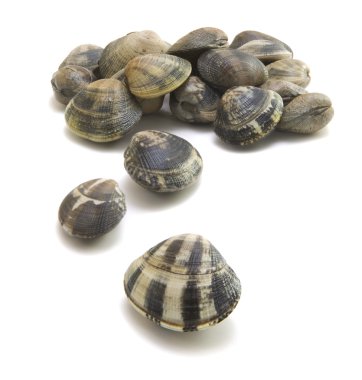 VONGOLE