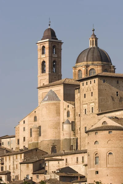 Urbino