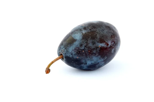 stock image Plums