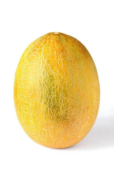 stock image Melon