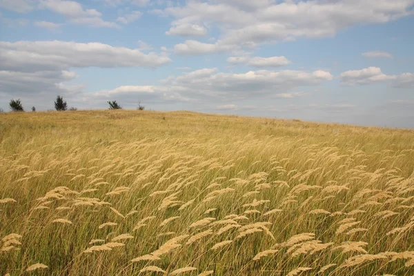 stock image Natural landscape