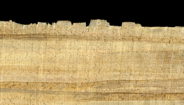 Papyrus paper background and edge