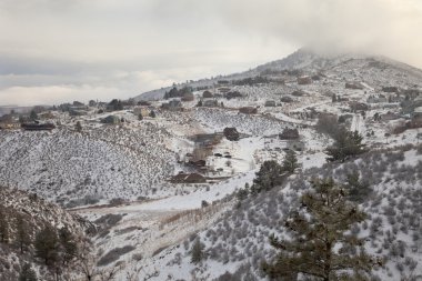 dağ Colorado eteklerinde yaşayan