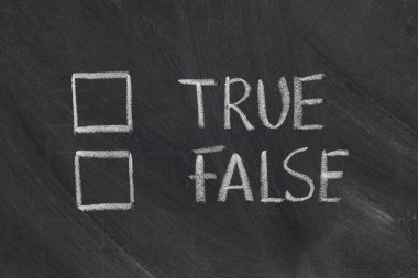 TRUE veya false onay kutuları