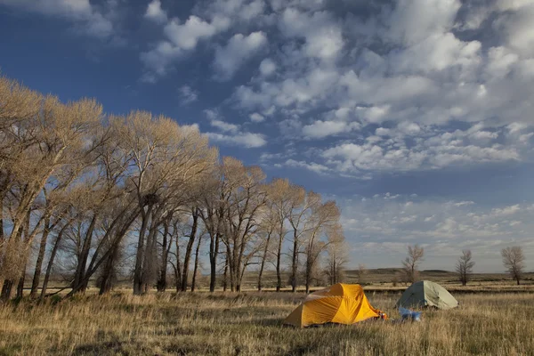 Campings de primavera en Wyoming —  Fotos de Stock