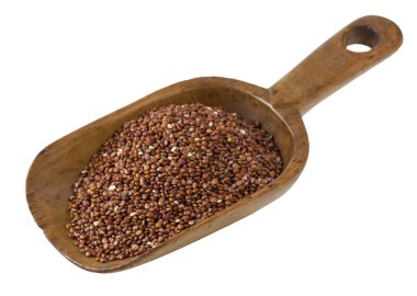 Scoop of quinoa clipart