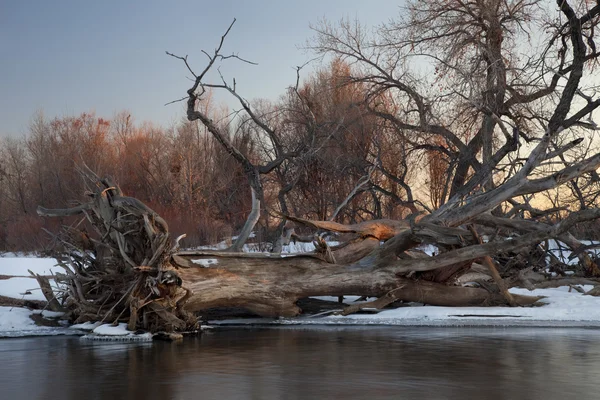 Kış nehir — Stok fotoğraf