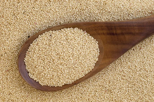 Amaranth grain and spoon — Stock Photo, Image