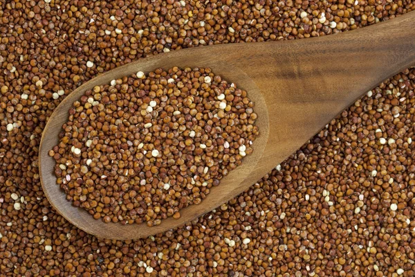 Kırmızı quinoa tahıl ve kaşık — Stok fotoğraf