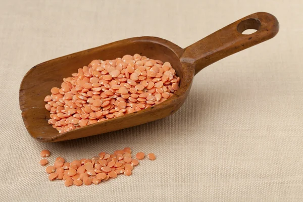Colher rústica de lentilhas vermelhas — Fotografia de Stock