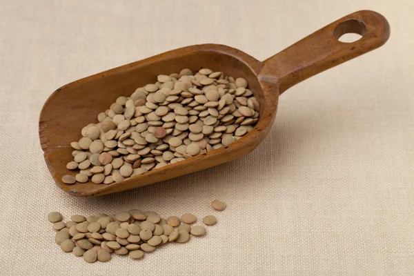 Rustic scoop of green lentils — Stock Photo, Image