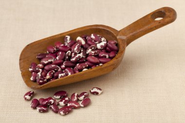 Rustic scoop of Anasazi beans clipart