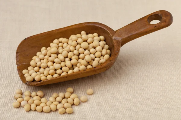 Rustic scoop of soybeans — Stock Photo, Image