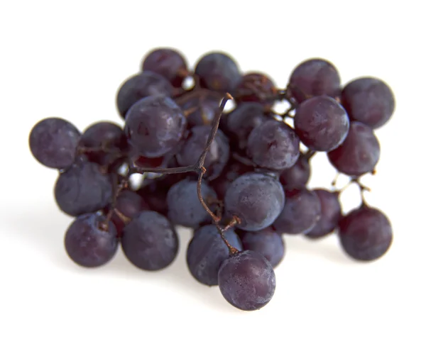 Black Grape — Stock Photo, Image