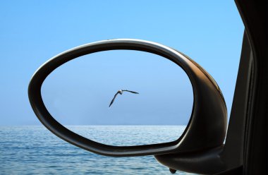 Sea in the rearviewmirror clipart