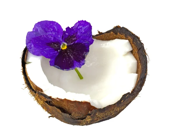 Olej kokosowy i fiolet — Zdjęcie stockowe