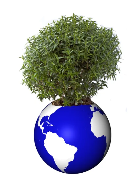 Sprout from world — Stock Photo, Image