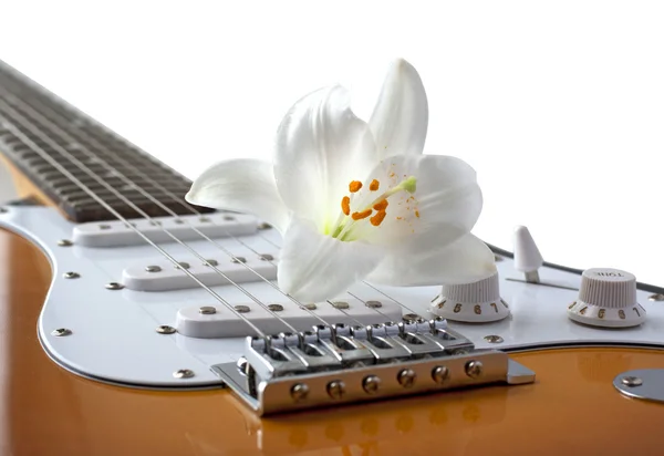 Гитара и цветок — стоковое фото
