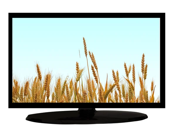 Tv with field — Stock Photo, Image