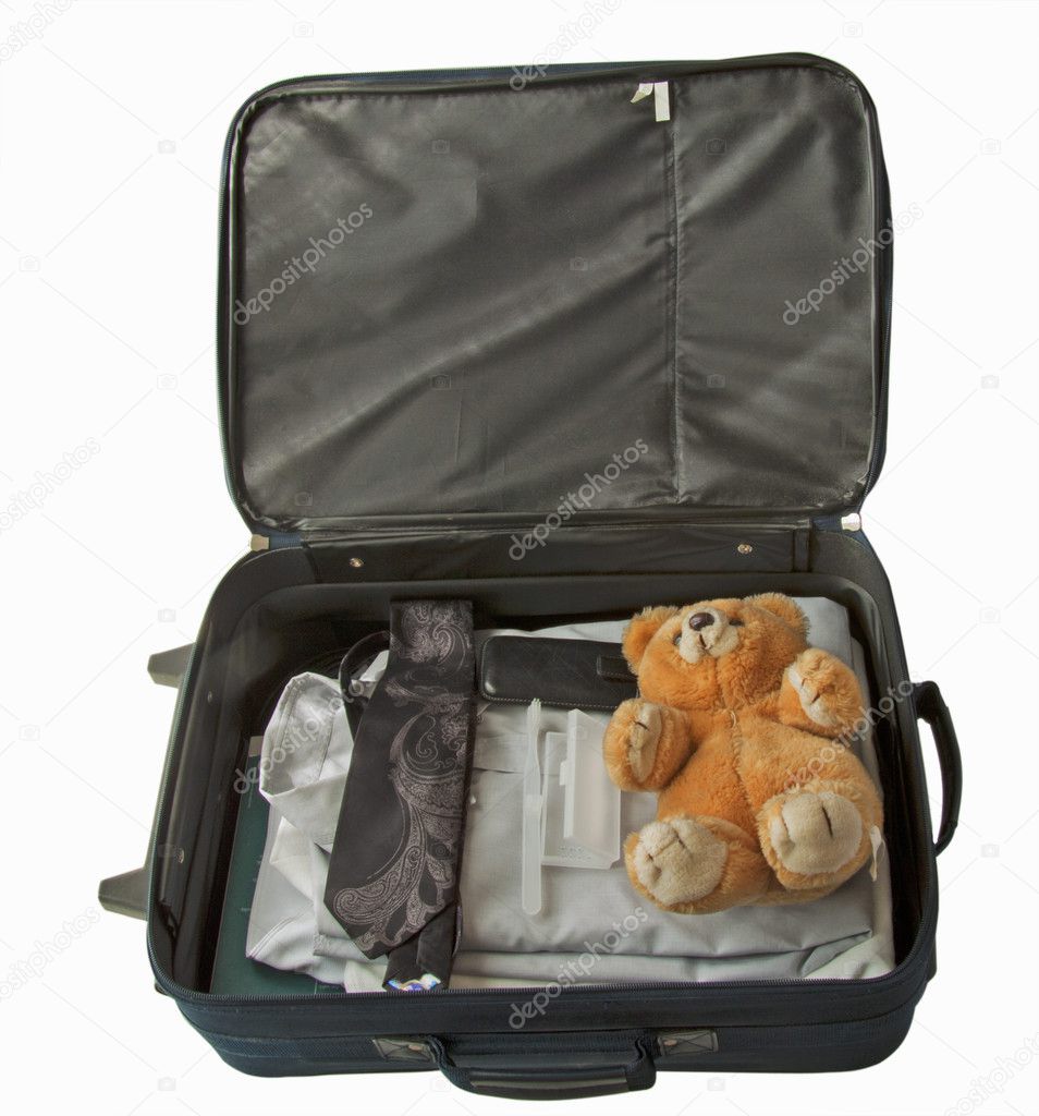 teddy suitcase