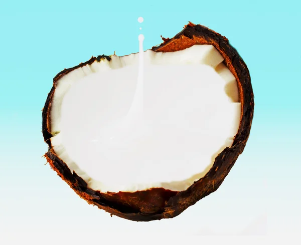 Mleko kokosowe — Zdjęcie stockowe