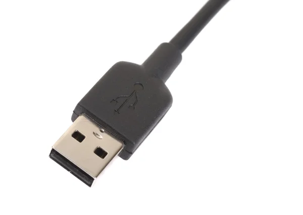 Black USB A standard plug — Stock Photo, Image