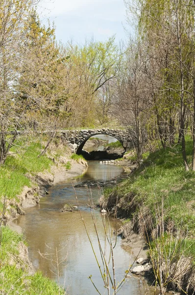 Ponte de pedra sobre o fluxo — Fotografia de Stock