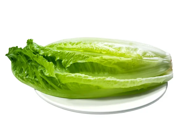 Romaine lettuce on a plate — Stock Photo, Image