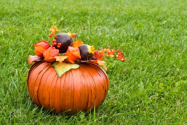 Decorative pumpkin on green grass — Stock Photo, Image