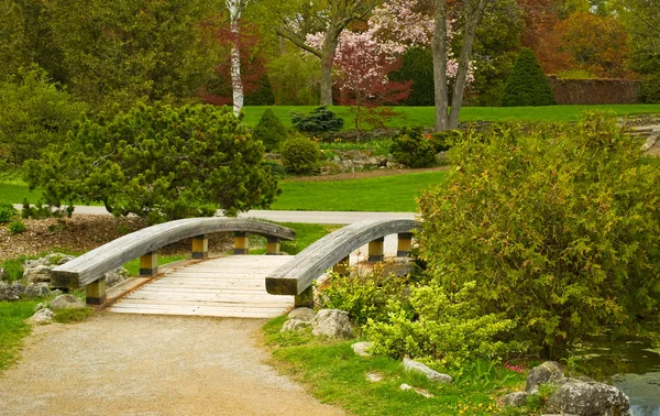 Houten brug in een park Stockfoto